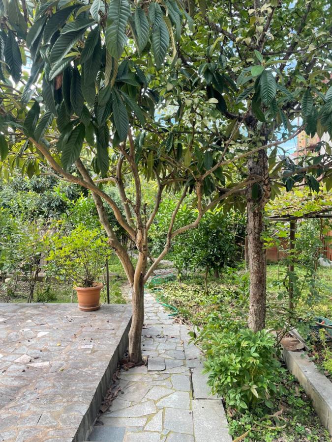 Gardenie Apartment Kutaisi Bagian luar foto